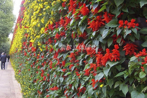 植物墻設(shè)計實際效果圖