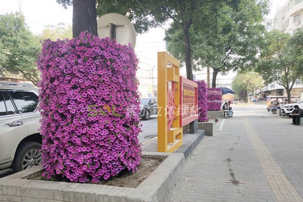 行道樹景觀設(shè)計實際效果圖