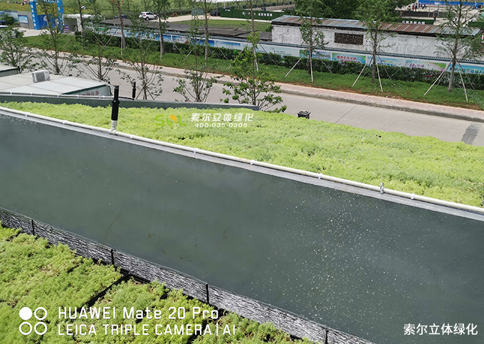 08索爾斜坡屋頂綠化.jpg