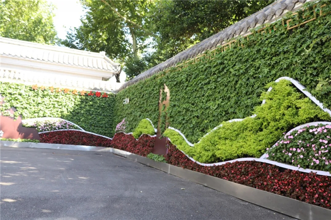 邯鄲首個“墻上花園”亮相，不但好看，還能降噪、除塵！ (4).jpg